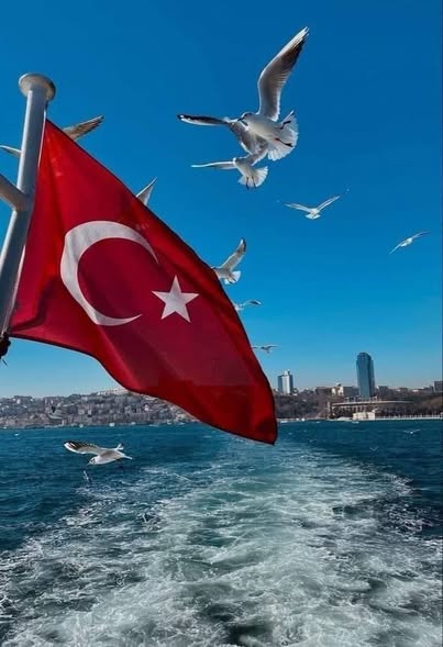 #اسطنبول___Top_Promo__🇹🇷_ISTANBUL__🇹🇷. ___Moi De Mai 2025